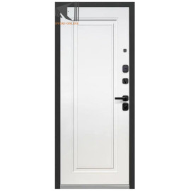 Входная дверь TD10-1
